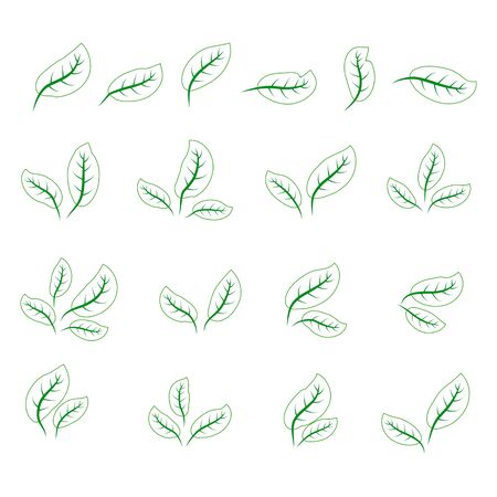 set of isolated green leaves icons on white backgroundのイラスト素材