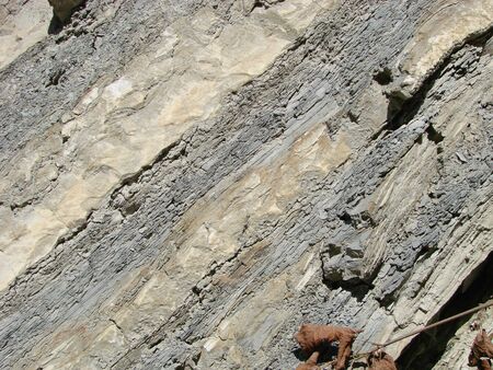 The texture of shale stone, arranged in layers horizontally. Background image.