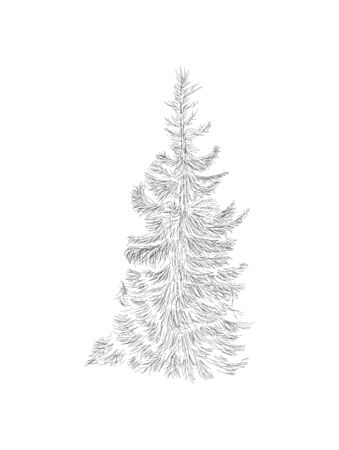 Abstract christmas tree with hand sketch line, illustration for xmasのイラスト素材