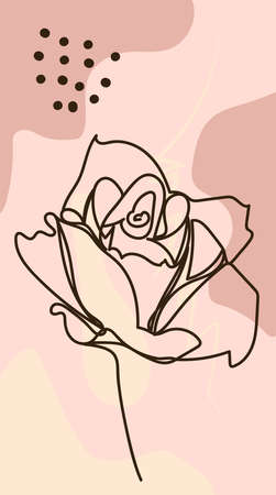 Floral stories template. Garden flora poster, flowers composition layout and trendy social media story templatesのイラスト素材