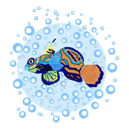 Mandarin fish beautiful character among water bubbles, scandinavian style, hand drawn.