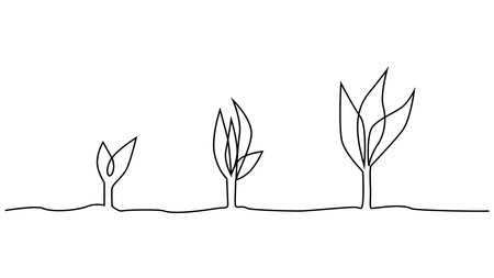 Phase of plant life continuous one line drawing minimalist illustration from seed, root and leavesのイラスト素材
