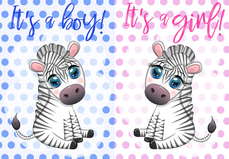 Card Its a boy, Its a girl with a cute cartoon zebra sitting. Childrens holiday of the newborn, baby shower.のイラスト素材