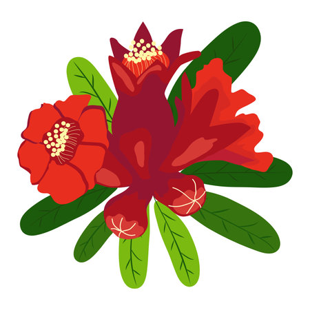 Pomegranate branches with fruits and flowers. Symbol of good luck, eternal life, love, fertility, abundance. Symbol of Israel and Azerbaijan.のイラスト素材