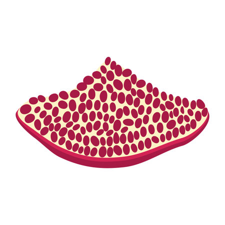 Pomegranate whole and pieces, cut with seeds. Stylized juicy fruit. Symbol of good luck, eternal life, love, fertility, abundance. Symbol of Israel and Azerbaijanのイラスト素材