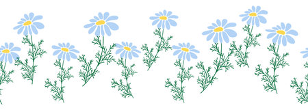 Chamomile horizontal border seamless pattern. Floral seamless borderのイラスト素材