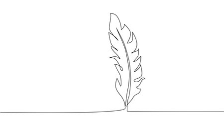 Self-drawing of continuous drawing of one line of feathersのイラスト素材
