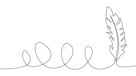 Self-drawing of continuous drawing of one line of feathersのイラスト素材