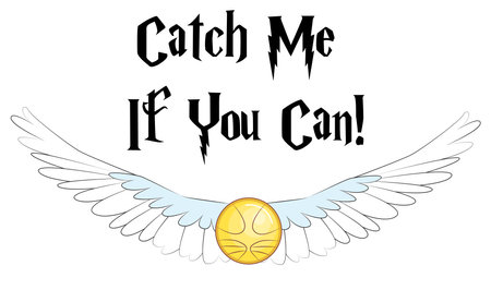 Magic school poster, quote from a book about a boy wizard.のイラスト素材