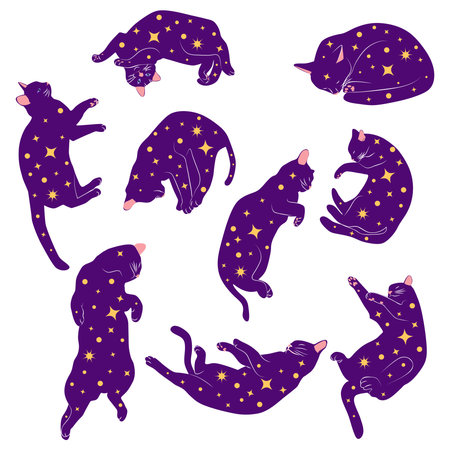 Mystical set of cats in boho style, Silhouette collection. Witchcraft and sorcery. Esoterics and mysticism, occultism. Cartoon flat vector illustrations, isolatedのイラスト素材