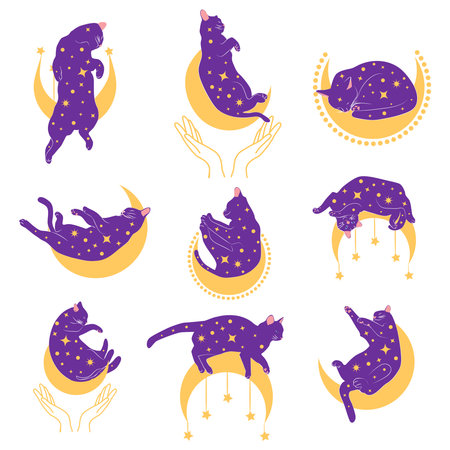 Mystical set of cats in boho style, Silhouette collection. Witchcraft and sorcery. Esoterics and mysticism, occultism. Cartoon flat vector illustrations, isolatedのイラスト素材