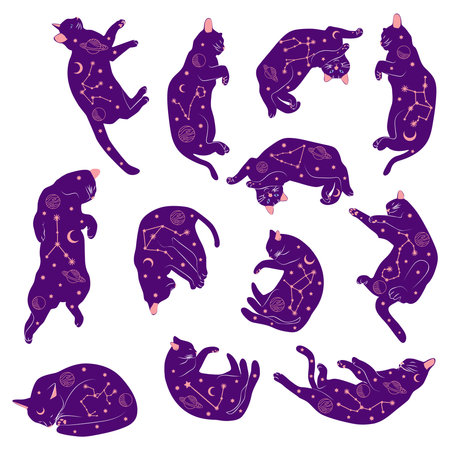 Mystical set of cats in boho style, Silhouette collection. Witchcraft and sorcery. Esoterics and mysticism, occultism. Cartoon flat vector illustrations, isolatedのイラスト素材