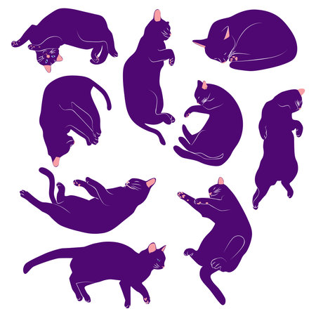 Mystical set of cats in boho style, Silhouette collection. Witchcraft and sorcery. Esoterics and mysticism, occultism. Cartoon flat vector illustrations, isolatedのイラスト素材