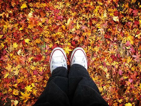 A view of woman's feet stay close together. Her feet are standing on fallen multicoloured autumn...