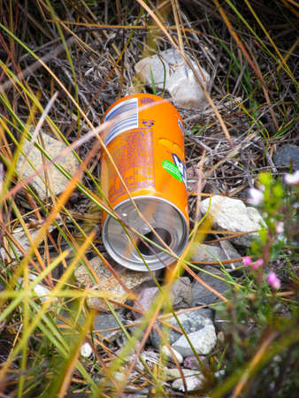 CRADLE MT, AU - 7 DEC 2017: tin can of orange drink left behind by irresponsible visitor. Litter is an environmental concern, can cause potential hazard to the wildlife and their natural habitatのeditorial素材