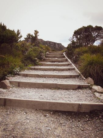 Steps at Cradle Mountain footpath planked by native flora. Suitable to illustrate symbolic meaning...