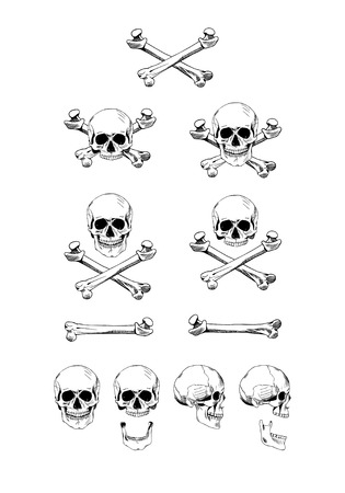Vector set of skulls, black contour, white backgroundのイラスト素材