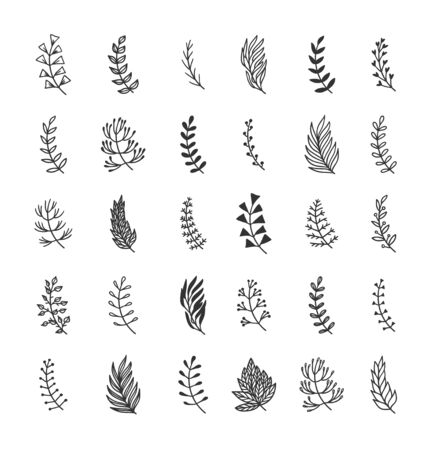 Hand drawn set of objects for design use. Black Vector doodle flower on white background.  Abstract pencil boho drawing twig. Artistic illustration elements plantのイラスト素材