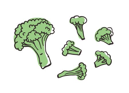 Doodle cabbage broccoli. Hand drawn stylish fruit and vegetable. Vector artistic drawing fresh organic food. Summer illustration vegan ingrediens for smoothiesのイラスト素材