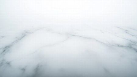 Light white marble texture background with soft veins. Elegant branding conceptの素材