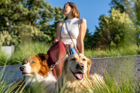 Woman sitting with two dogs on grassy steps in sunny park, relaxed summer moment of companionship,...