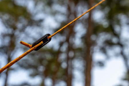 Yellow Guyline With Black Tensioner Securing Tent At Campsite