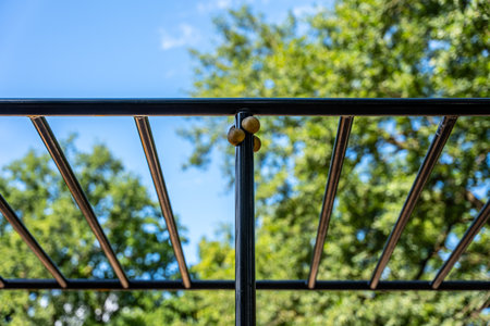 Monkey Bars And Horizontal Ladders In Outdoor Fitness Park, Steel Frame Under Trees And Skyの写真素材