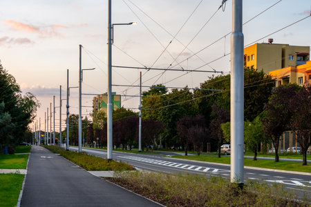 Urban Tram Wires And Street Poles Along Green City Road At Sunset In Modern Transportation Infrastructureの写真素材