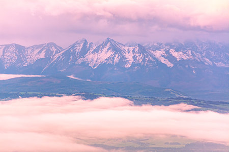 Pink Sunrise Over Snowy Mountain Peaks Rising Above Clouds And Scenic Valleyの写真素材
