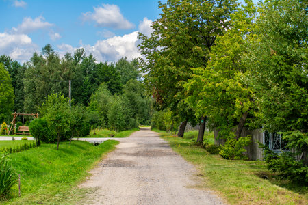 Rural Country Road Between Green Trees And Gardens Under Blue Sky Summer Landscape. Idyllic Rural Lifeの写真素材