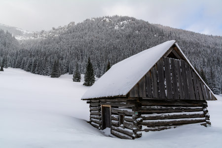 Snow Covered Old Cabin In Forested Mountains. Winter Hut Made From Wooden Logs, Rustic Nature Shelter Or Shepherdess. Winter Landscape With Copy Spaceの写真素材