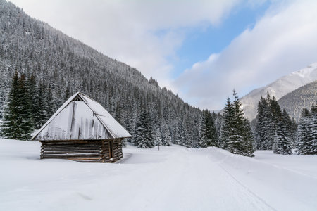 Winter Cabin Covered In Snow Among Forest And Mountains, Rustic House Nature Landscape Trees And Holiday Vacation Retreatの写真素材
