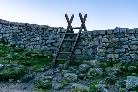 Rustic Ladder Through Stonewall. Countryside Trail With Rocks And Grass. Hiking Route. Overcoming...