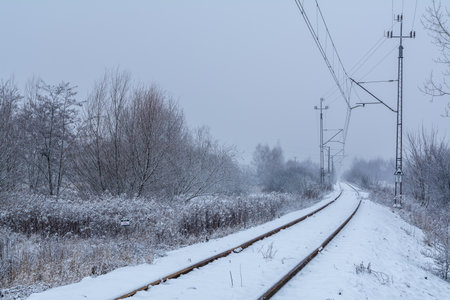 Snowy Railway Tracks Curve Through Foggy Countryside With Overhead Powerlinesの写真素材