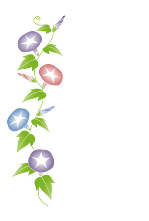 朝顔 のイラスト素材 イメージマート