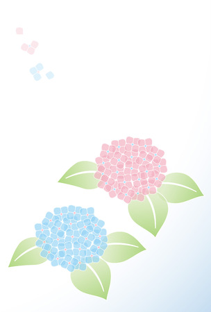 Hydrangeas message cardのイラスト素材