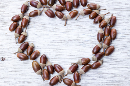Heart shape frame of acorns on painted wood boardの写真素材