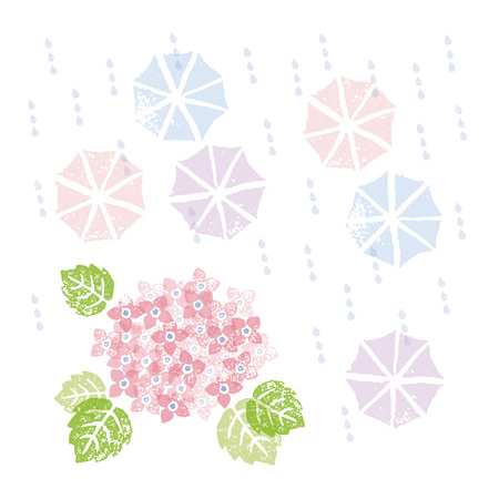 A pink hydrangea and umbrellas in rainy seasonのイラスト素材