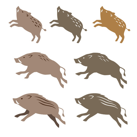 Wild boar wild pig, animal illustrations on white backgroundのイラスト素材