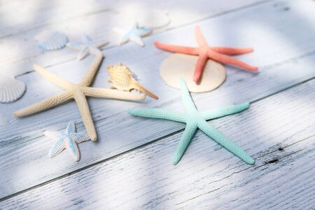 Starfishes and sea shells on white wooden board with sunlight