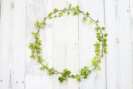 English ivy wreath, circle frame, background image on white peinted boardの写真素材