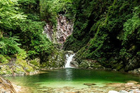 Waterfall in the forest. The concept of active and extreme tourismの写真素材