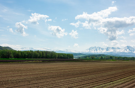 Plowed field with snow-capped mountains in the background.の写真素材