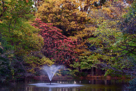 Autumn leaves and fountain in the park, fall season in Japanの写真素材
