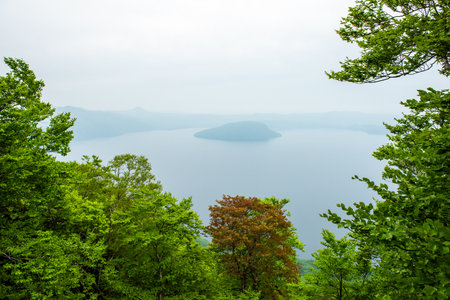 View from the top of the mountain to the lake and the forest