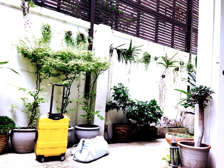 Ready to goの素材