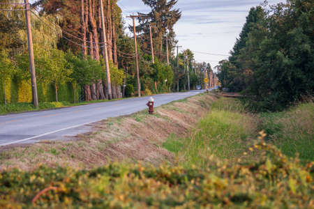 Canadian country road in British Columbia with a lone fire hydrant in centre of pictureの写真素材