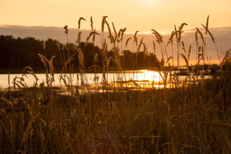 Sun setting by the Fraser River near Vancouver, Canadaの写真素材