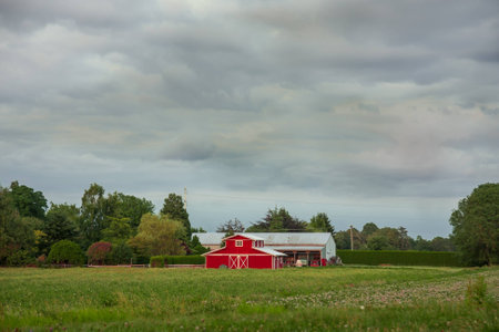 A rural landscape with farm buildings in the midst of a farmerの写真素材