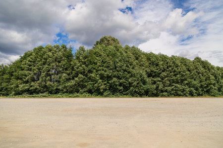 Brown Gravel Parking Area By A Plethora Of Greeneryの写真素材